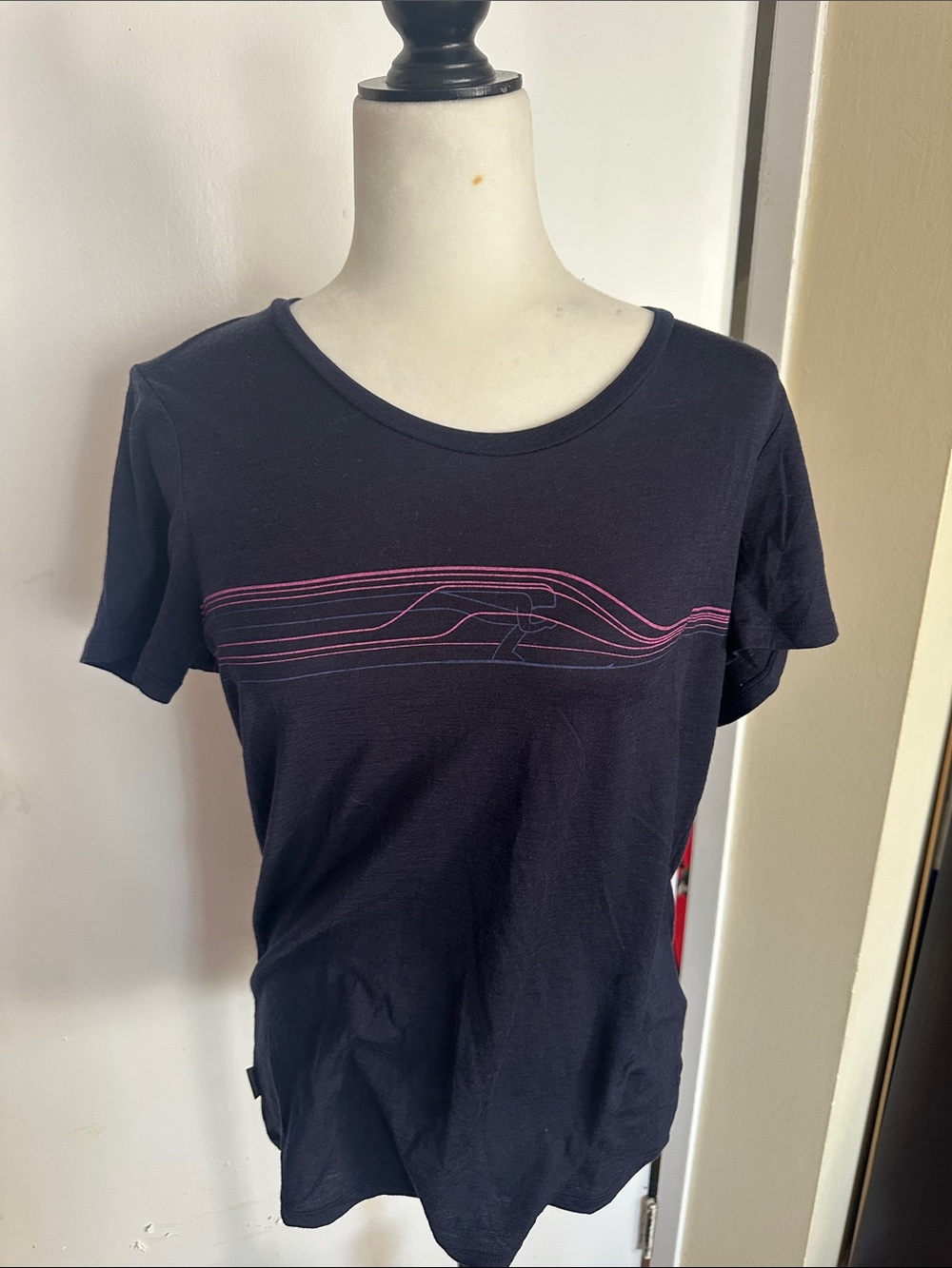 Icebreaker Black Short Sleeve Tee with Pink Stripe Graphic